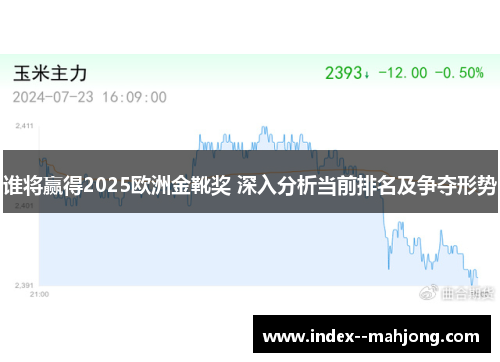 谁将赢得2025欧洲金靴奖 深入分析当前排名及争夺形势