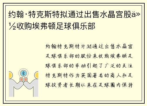 约翰·特克斯特拟通过出售水晶宫股份收购埃弗顿足球俱乐部